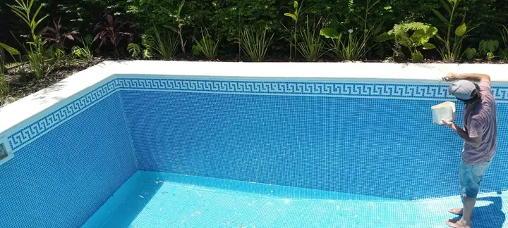 Pared de piscina en venecita azul con guarda griega perimetral y plantas