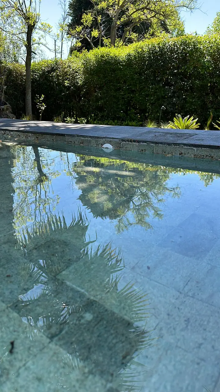 Piscina de revestimiento oscuro reflejando palmeras y vegetación