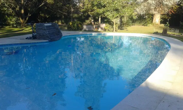Piscina de forma libre reflejando los árboles del parque