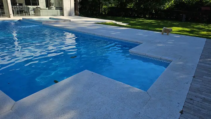 Piscina con solárium amplio de borde atérmico y jardín